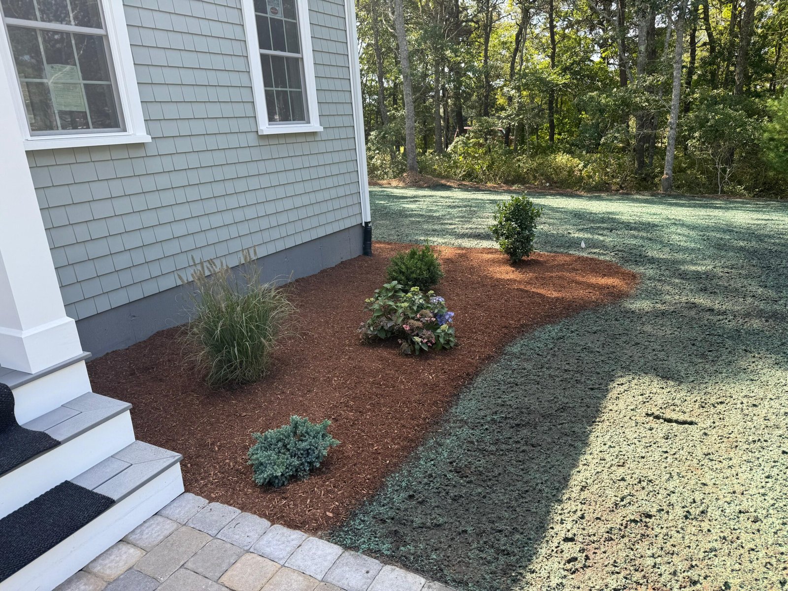 ee82cfda-c26d-4440-be31-51810e4689b6